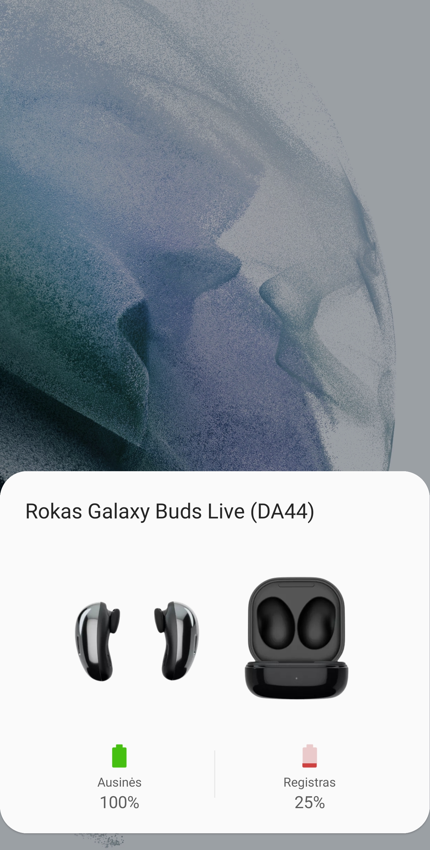 SmartThings greitas susiejimas