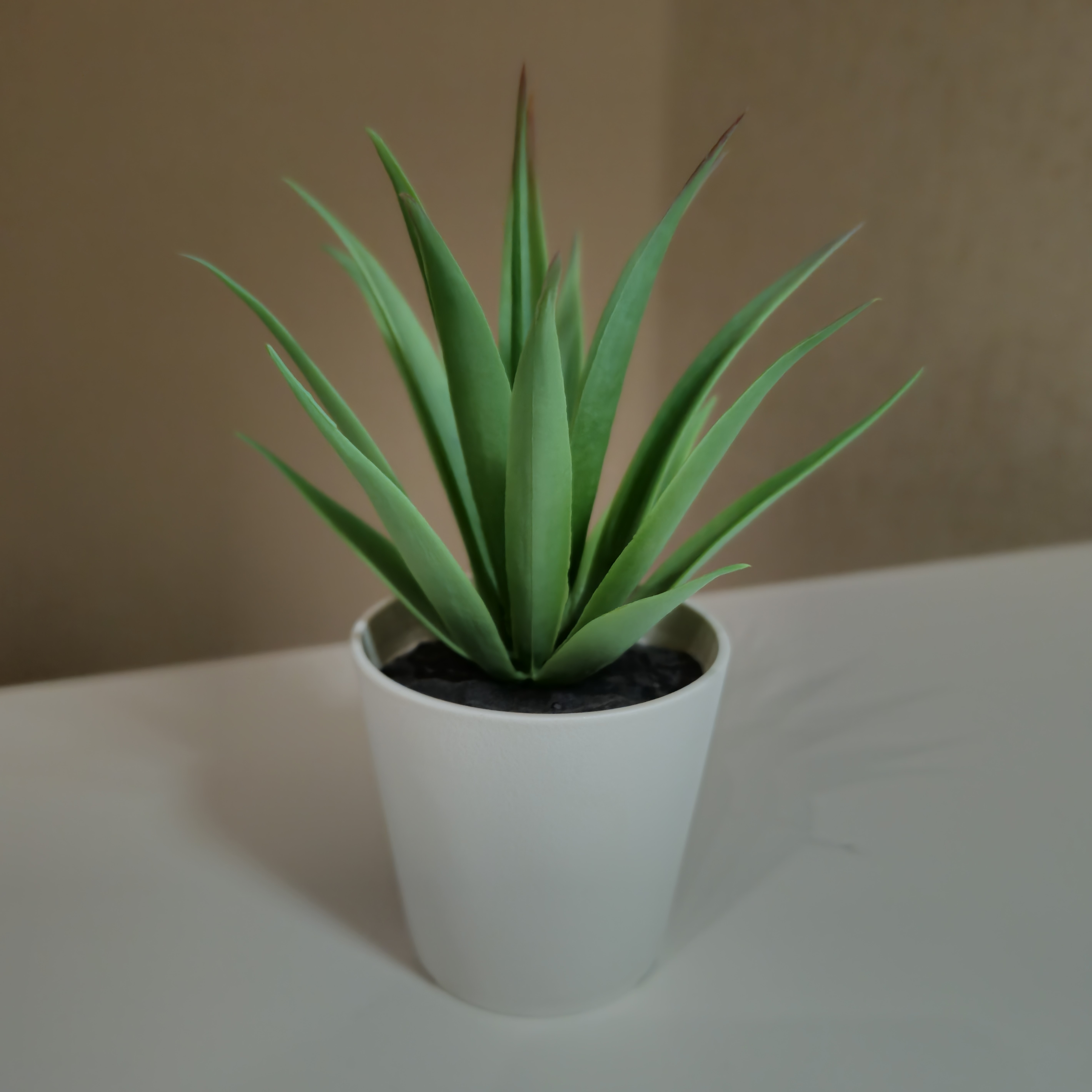 Galaxy S23 halo efektas