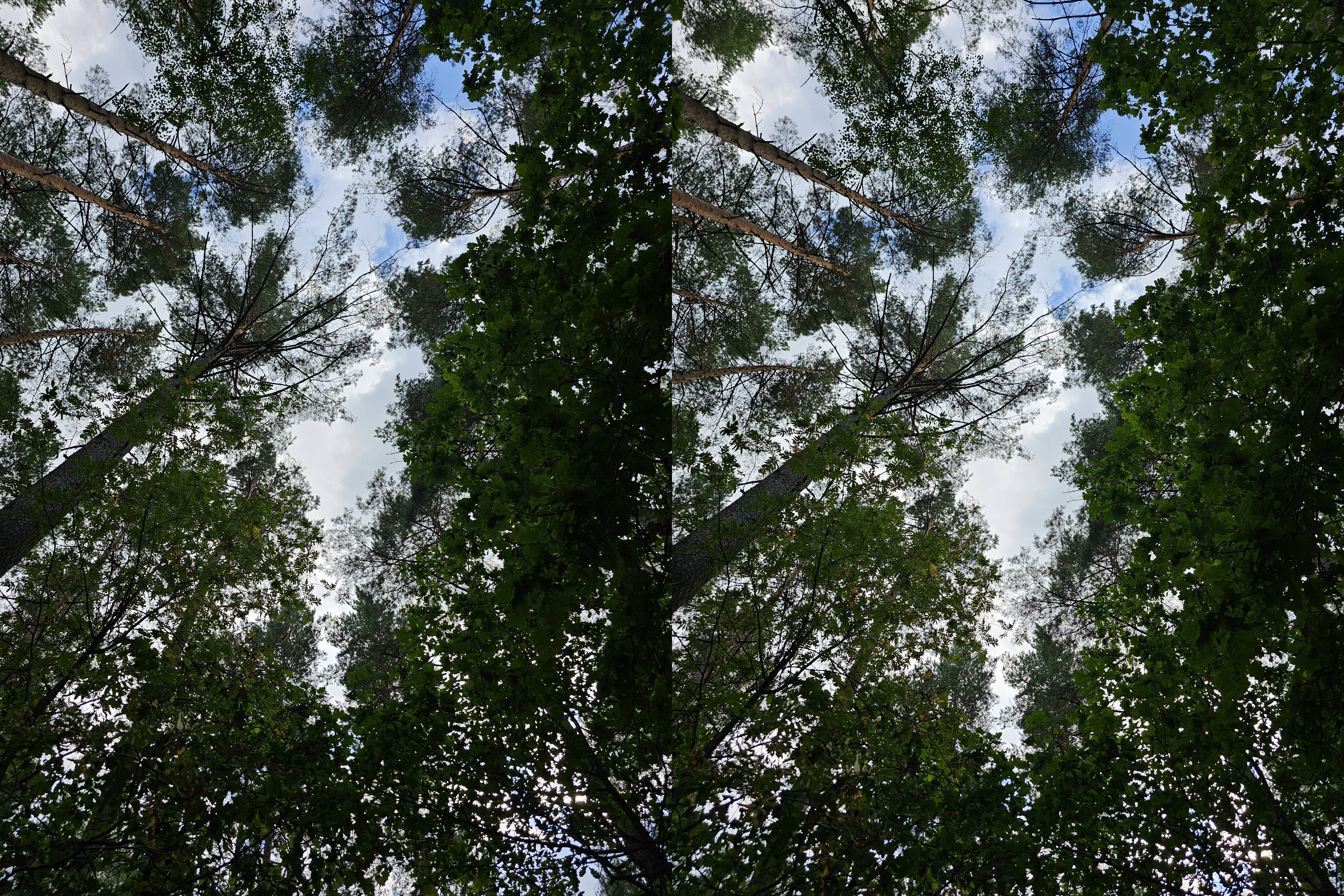 Užfiksuota su Galaxy S23 Ultra