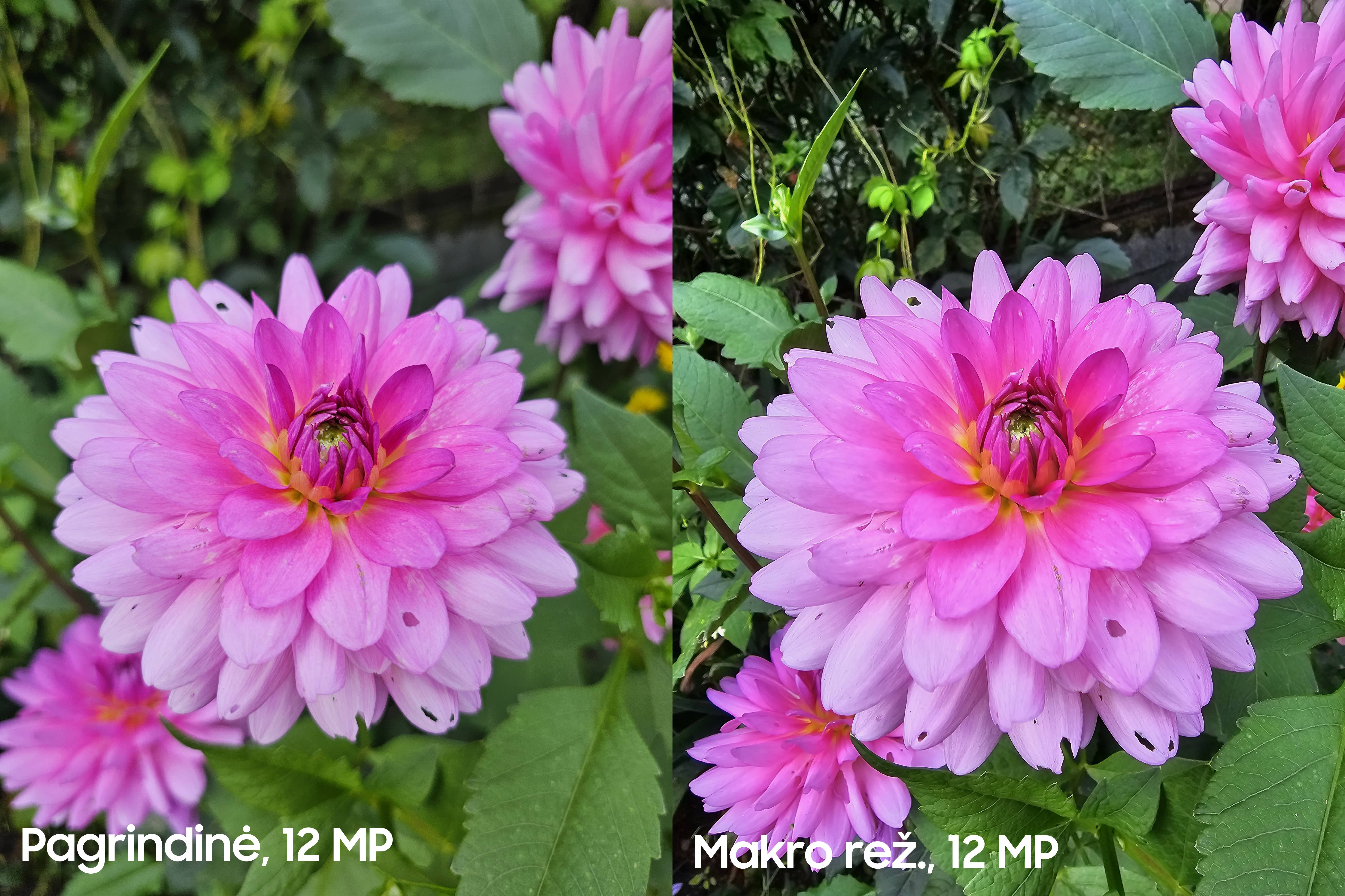 Užfiksuota su Galaxy S23 Ultra