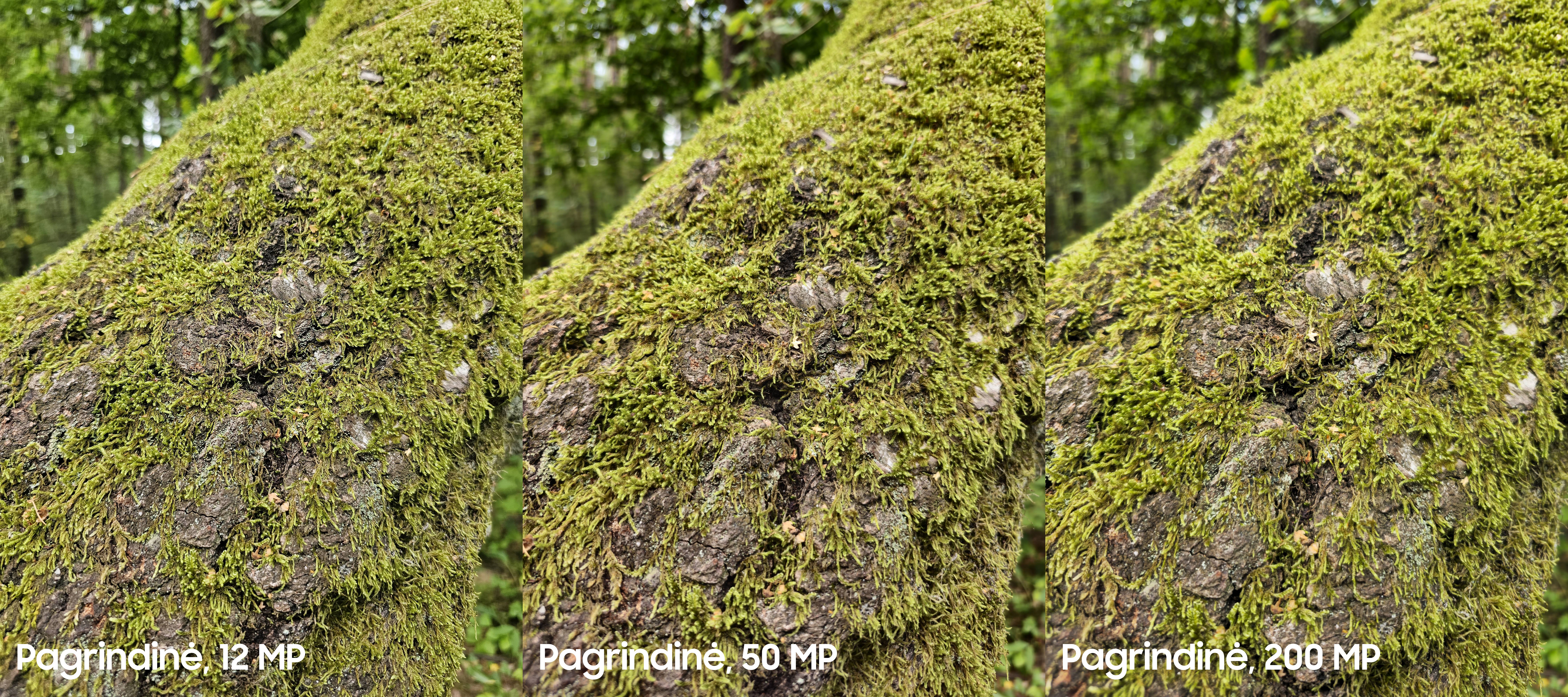 Užfiksuota su Galaxy S23 Ultra